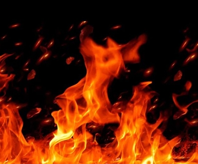 大阵仗！木林森照明，携王牌阵容，引爆市场！