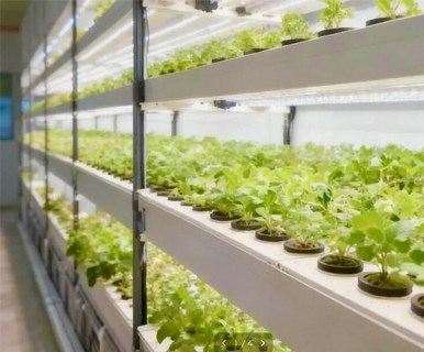 国星光电“智耕之星”AI种植生态系统，震撼上市！