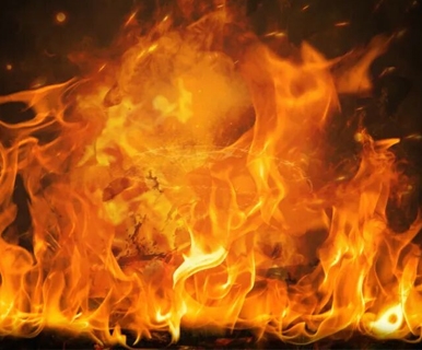 京东双11“卖爆”！照明，欧普第二！电工，小米第二！