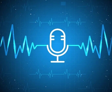 “目前暂无车灯业务规划！”立达信，最新回复投资者！