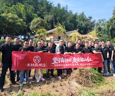 木林森照明，于韶山发布2027—2029年新三年战略！